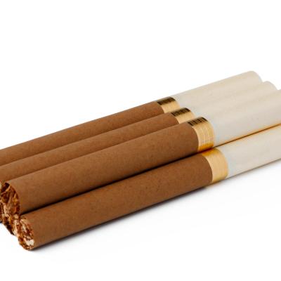 Bunch of cigarettes isolated on white background close up